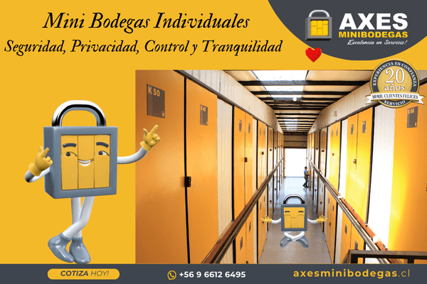 Bodega Individual vs Compartida